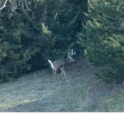 Trip photo from the field showing a deer hunting log entry in STAT Outdoors app